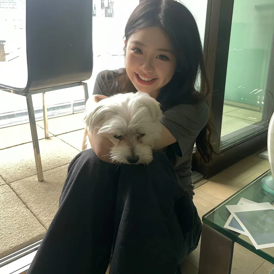 法网杀机(原声版)