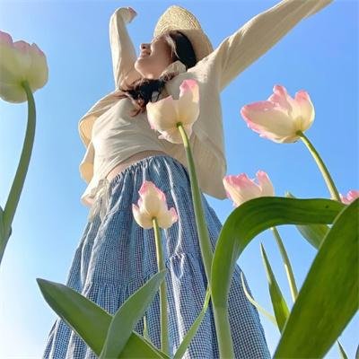 鸟之歌 バードソング