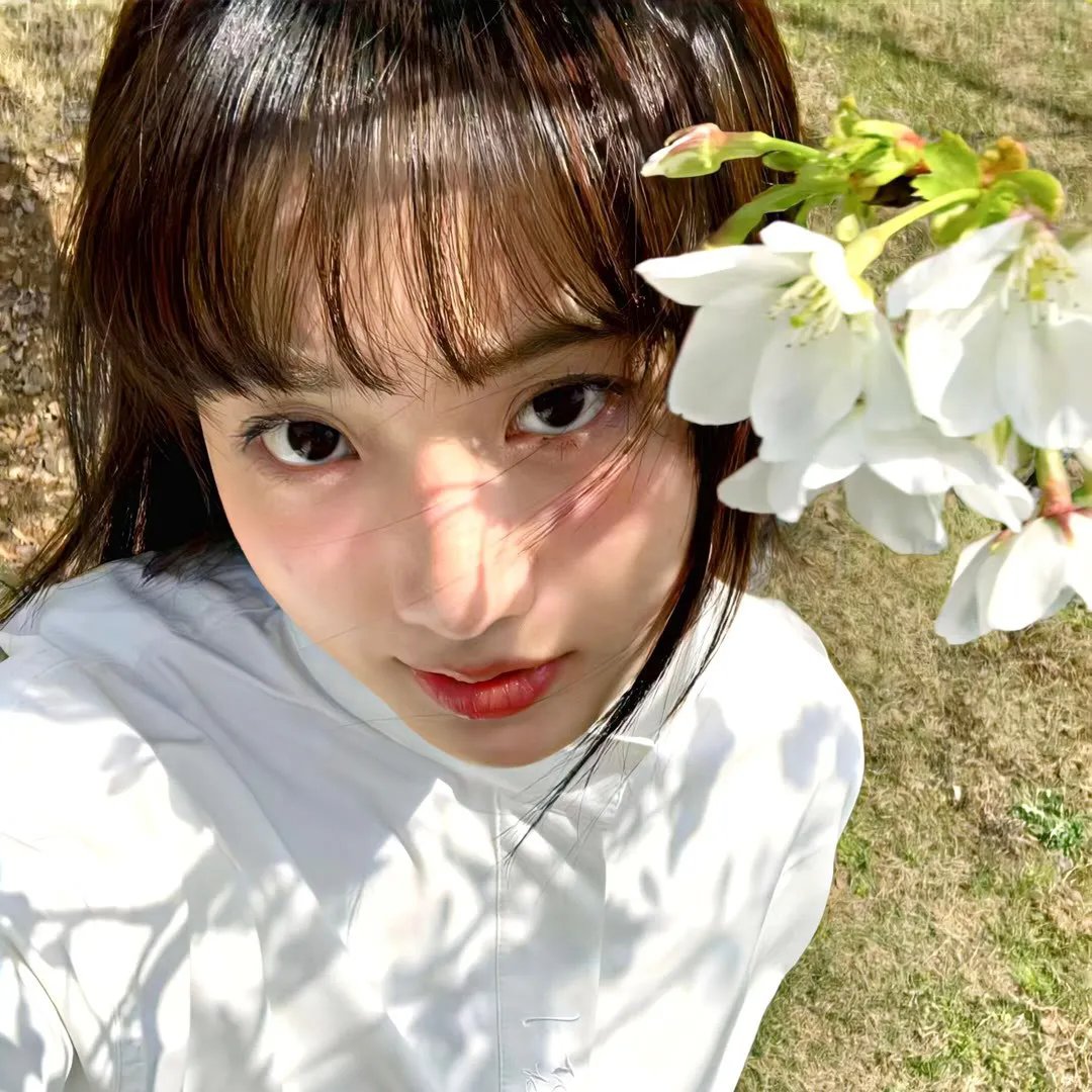 乘风破浪的姐姐短剧